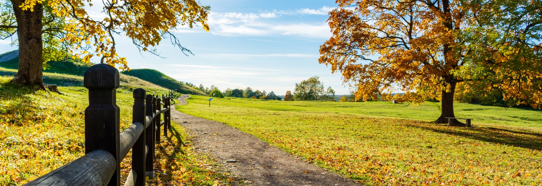 Trees near the road with the hills in autumn