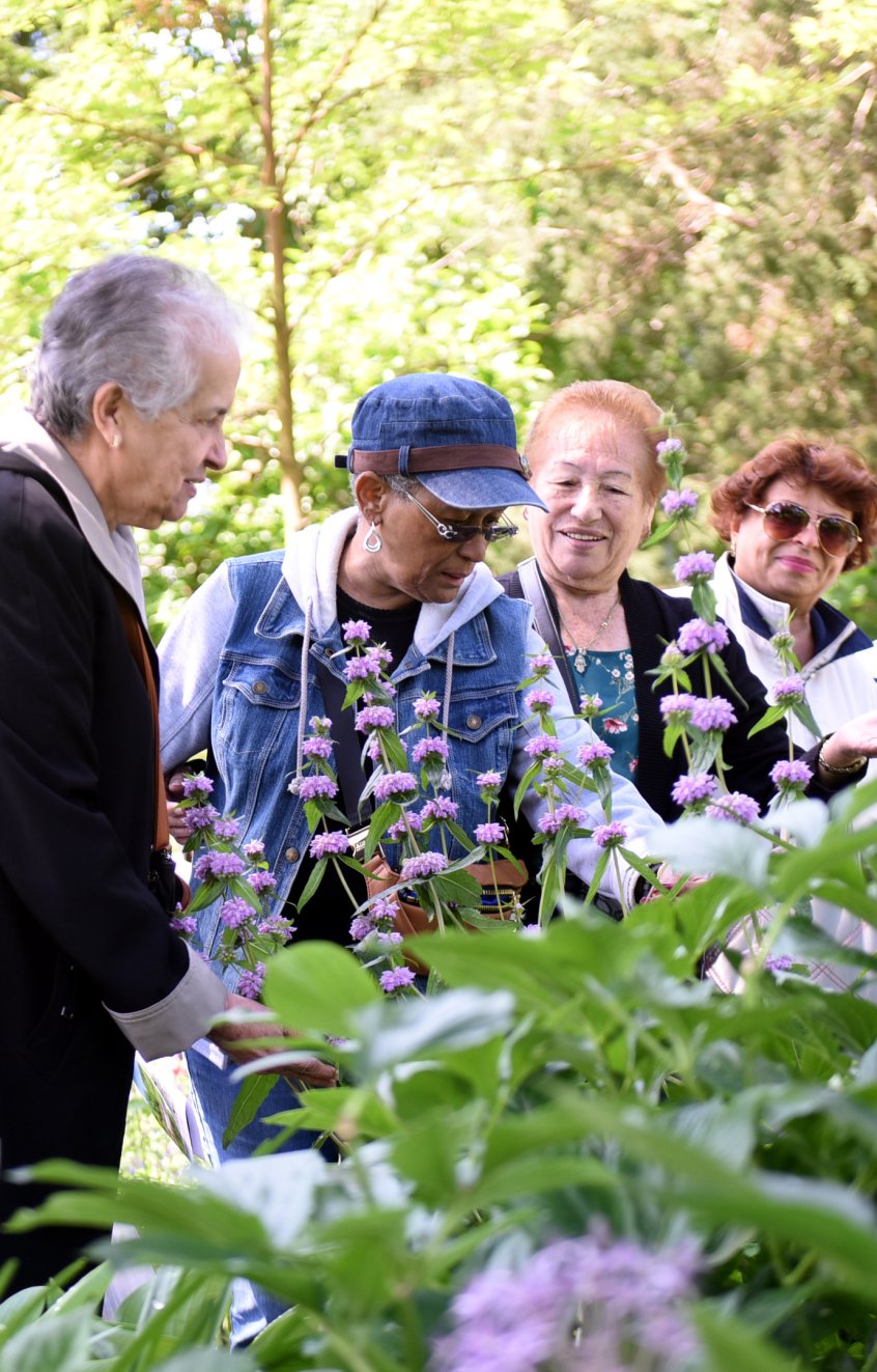 Improving Health Equity